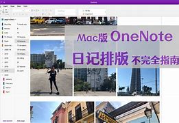 onenote苹果版教程onenote官网下载免费版-第2张图片-太平洋在线下载