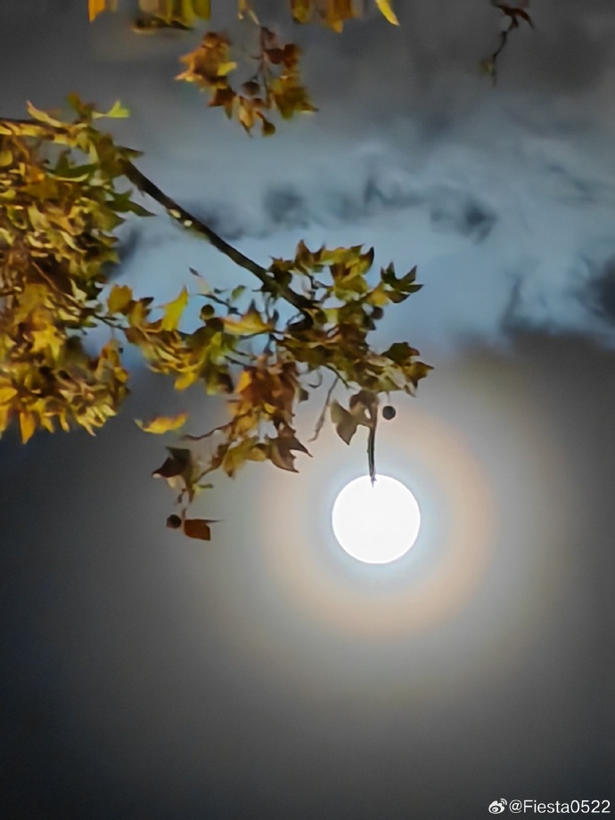月圆之夜手机版免费观看月圆之夜电脑版和手机版能互通吗-第1张图片-太平洋在线下载