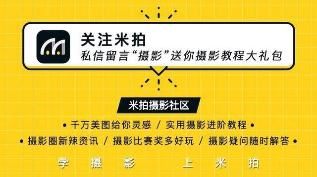 小丑女变身器手机版小丑女军犬3d-第10张图片-太平洋在线下载 小丑女变身器手机版小丑女军犬3d-第10张图片-太平洋在线下载