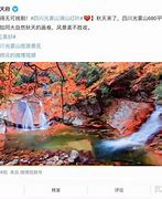 红叶商城安卓版绿叶商城app官网下载最新版本-第2张图片-太平洋在线下载