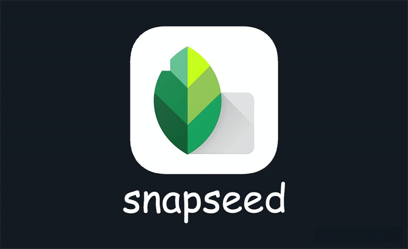 smapseed安卓版下载snapseed手机安卓版最新版-第2张图片-太平洋在线下载