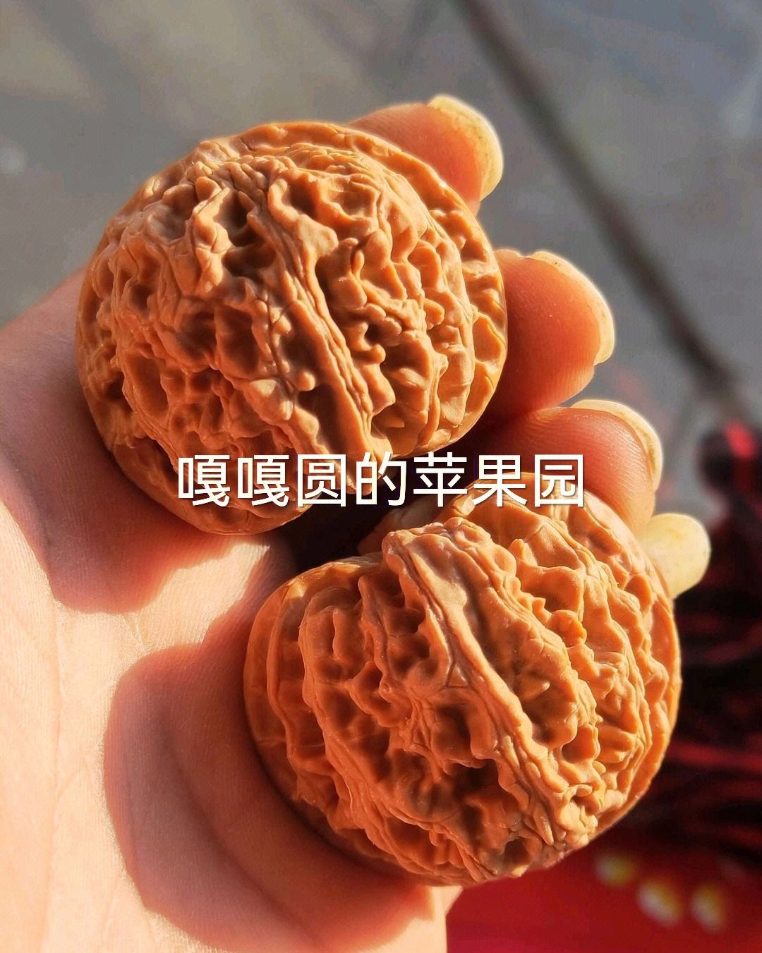 精版同花苹果6合宝典苹果版下载-第2张图片-太平洋在线下载