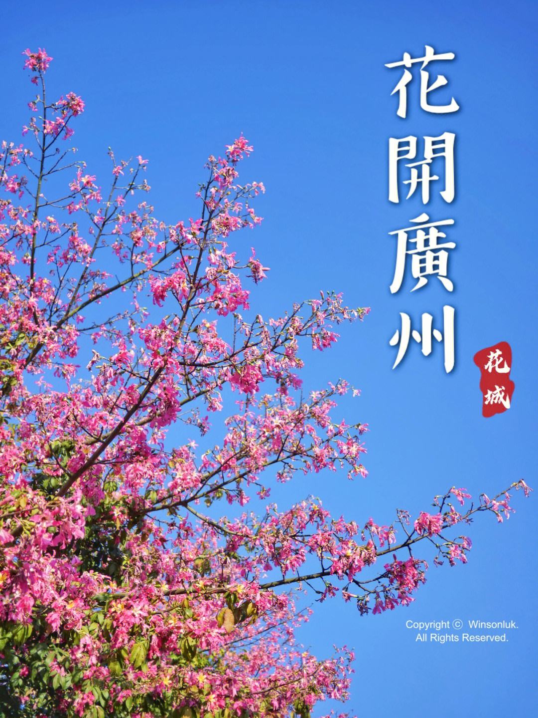 广州花城客户端广州日报新花城客户端-第2张图片-太平洋在线下载